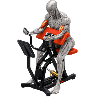 FitLog Training Anatomy Illustration